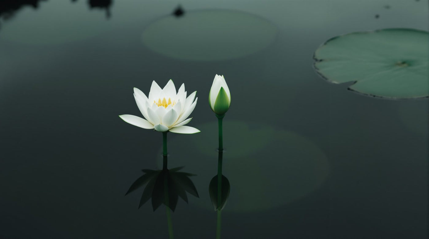 When All Your Tests Come Back Normal: What TCM Practitioners Look For