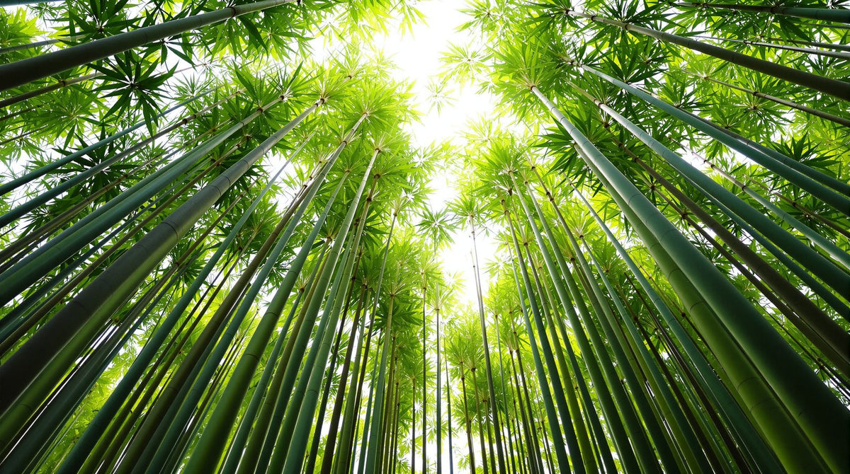 The Two Week Wait: What TCM Practitioners Recommend You Do (and Avoid)