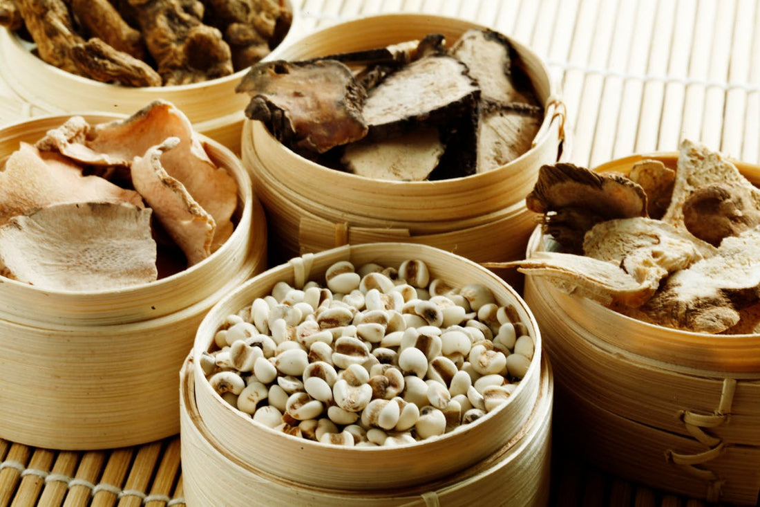 Natural Fertility Support Backed by Traditional Chinese Medicine